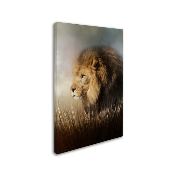 Jai Johnson 'Here Comes The Kind' Canvas Art,30x47